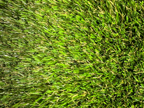 Fresh Rye - Turf Warehouse USA - Residential Artificial Grass