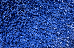 play_color_321sg_400_medium_blue