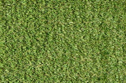 tw_premier_75