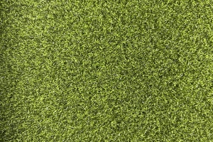 elevate_28_ny_376sg_color_301_four_seasons_lime_1790159724