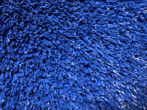 play_color_321sg_400_medium_blue