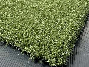 tips_ny_tee_line_335sg_color_301_turf_green_2_1872510314