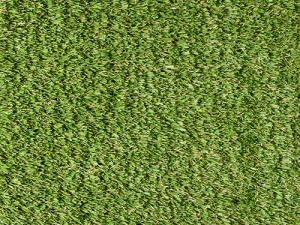 tw_premier_75