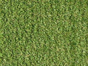 tw_premier_75_340329145