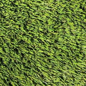 bermuda_pine_green