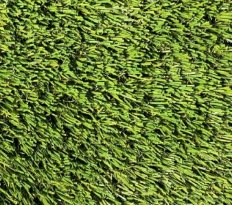 bermuda_pine_green