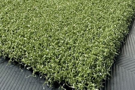 tips_ny_tee_line_335sg_color_301_turf_green_2_1872510314