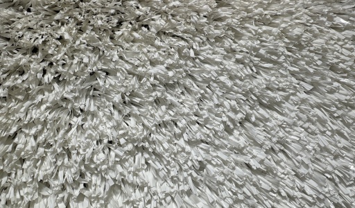 play_color_321sg_color_100_white