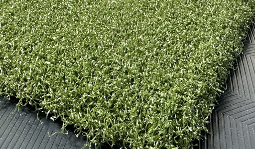 tips_ny_tee_line_335sg_color_301_turf_green_2_1872510314