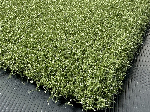 tips_ny_tee_line_335sg_color_301_turf_green_2