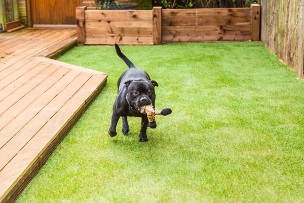 k9-park Pets - Turf Warehouse USA - Artificial Grass - Synthetic Turf